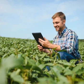 depositphotos_599493238-stock-photo-agronomist-inspecting-soya-bean-crops