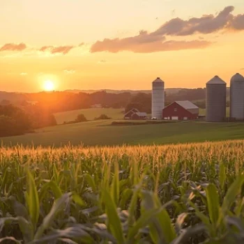 scenic-view-cornfield-on-rural-600nw-2516463281
